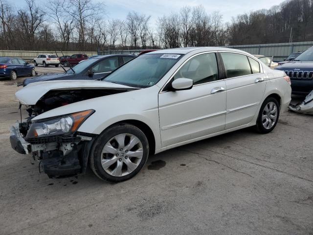 1HGCP368X8A034767 - 2008 HONDA ACCORD EXL WHITE photo 1