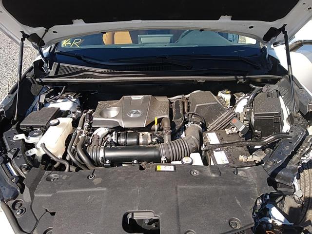 JTJGARDZ2M5028784 - 2021 LEXUS NX 300 BASE أبيض صورة 10