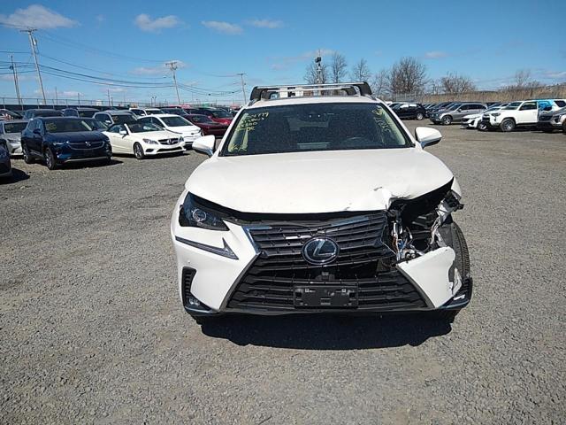 JTJGARDZ2M5028784 - 2021 LEXUS NX 300 BASE أبيض صورة 11