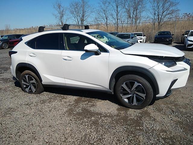 JTJGARDZ2M5028784 - 2021 LEXUS NX 300 BASE أبيض صورة 2