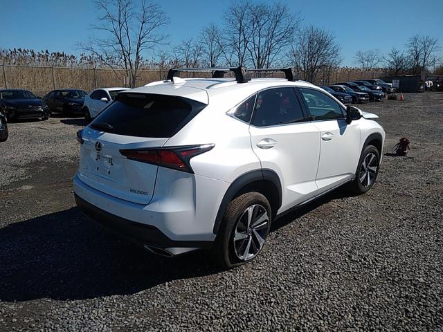 JTJGARDZ2M5028784 - 2021 LEXUS NX 300 BASE أبيض صورة 3