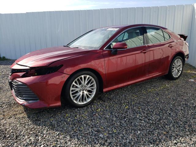 4T1B11HK0KU776251 - 2019 TOYOTA CAMRY L RED photo 1