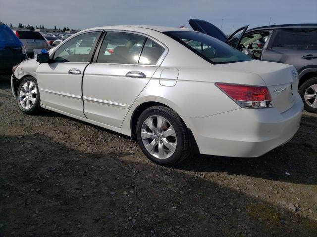 1HGCP36868A077342 - 2008 HONDA ACCORD EXL WHITE photo 2