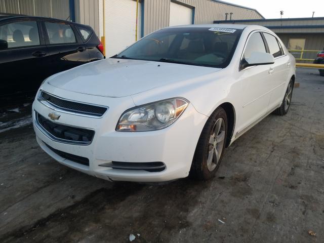 1G1ZJ57B99F100531 - 2009 CHEVROLET MALIBU 2LT WHITE photo 2