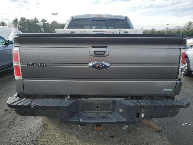 1FTFX1EV3AFB09860 - 2010 FORD F150 SUPER CAB GRAY photo 6