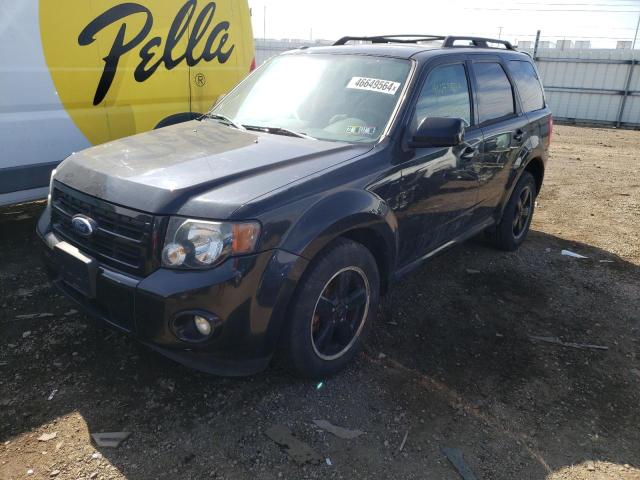 2011 FORD ESCAPE XLT, 