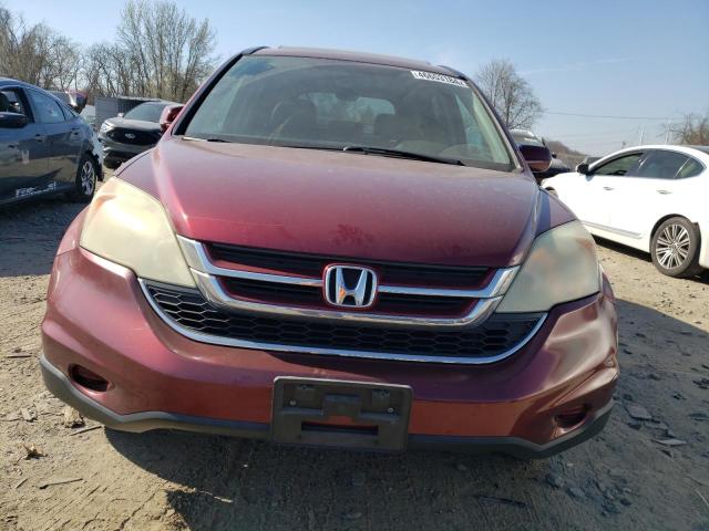 5J6RE4H77AL073362 - 2010 HONDA CR-V EXL BURGUNDY photo 5