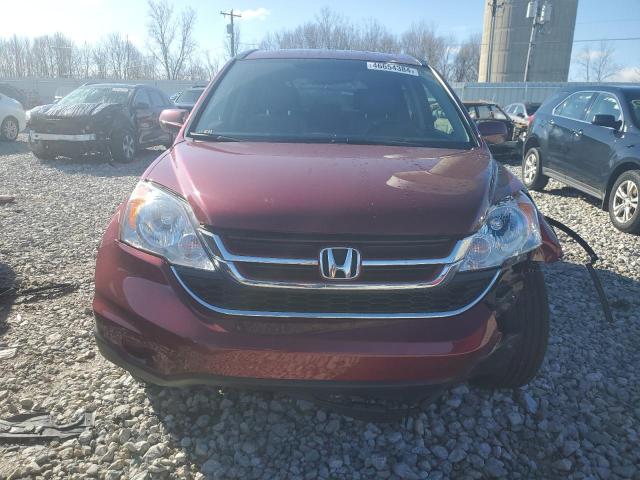 5J6RE4H78BL096506 - 2011 HONDA CR-V EXL BURGUNDY photo 5