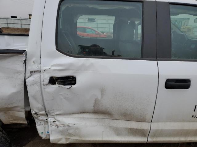 1FTEW1EB4LKD10035 - 2020 FORD F150 SUPERCREW WHITE photo 10