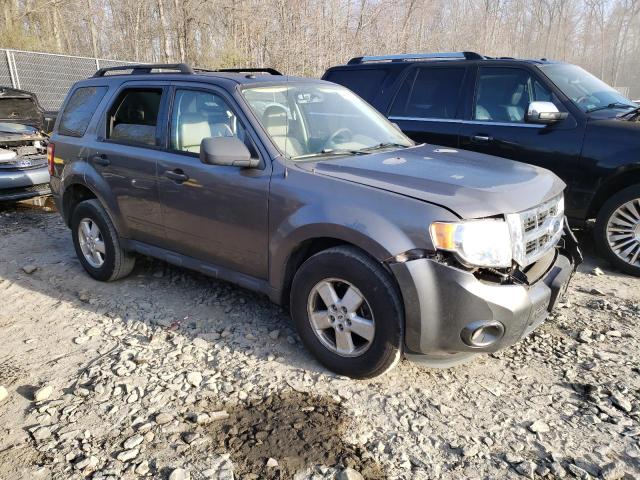 1FMCU03769KA32779 - 2009 FORD ESCAPE XLT GRAY photo 4