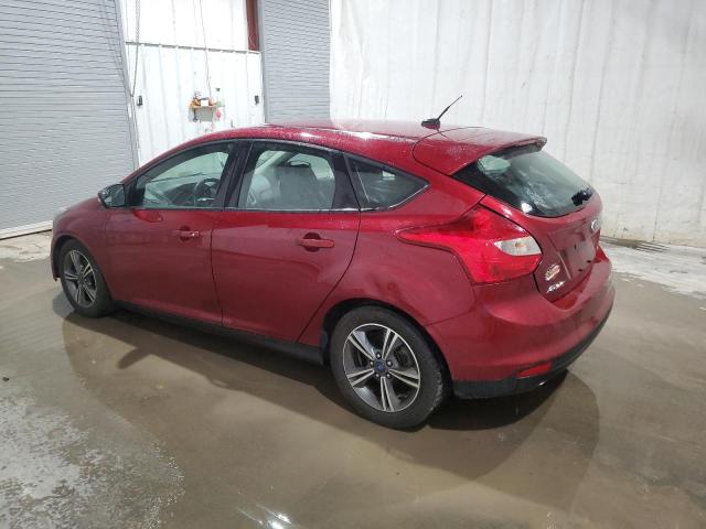 1FADP3K20EL434864 - 2014 FORD FOCUS SE BURGUNDY photo 2