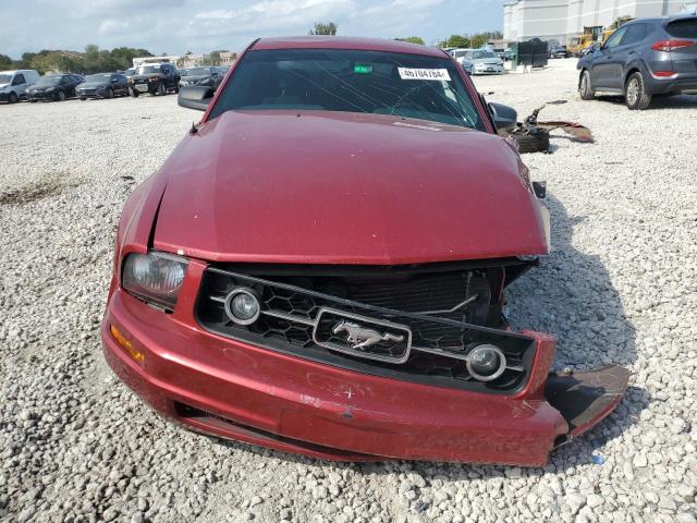 1ZVFT80N375271074 - 2007 FORD MUSTANG RED photo 5
