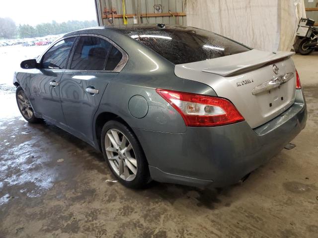 1N4AA5AP7AC830345 - 2010 NISSAN MAXIMA S TEAL photo 2