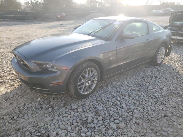 1ZVBP8AM3E5202925 - 2014 FORD MUSTANG GRAY photo 1