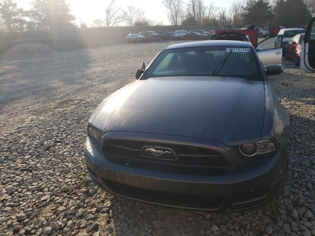 1ZVBP8AM3E5202925 - 2014 FORD MUSTANG GRAY photo 5