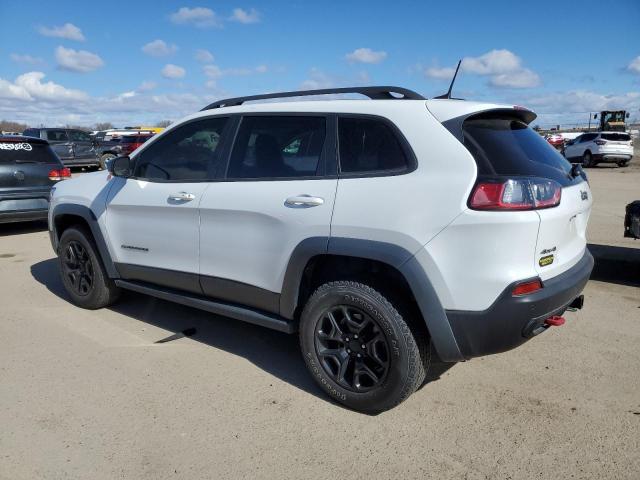 1C4PJMBNXKD157915 - 2019 JEEP CHEROKEE TRAILHAWK Ağ foto 2