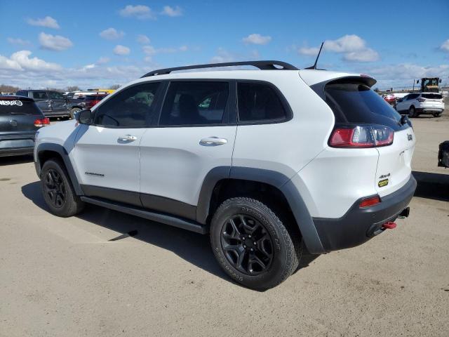 1C4PJMBNXKD157915 - 2019 JEEP CHEROKEE TRAILHAWK WHITE photo 2