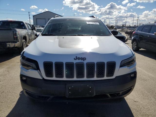 1C4PJMBNXKD157915 - 2019 JEEP CHEROKEE TRAILHAWK Ağ foto 5