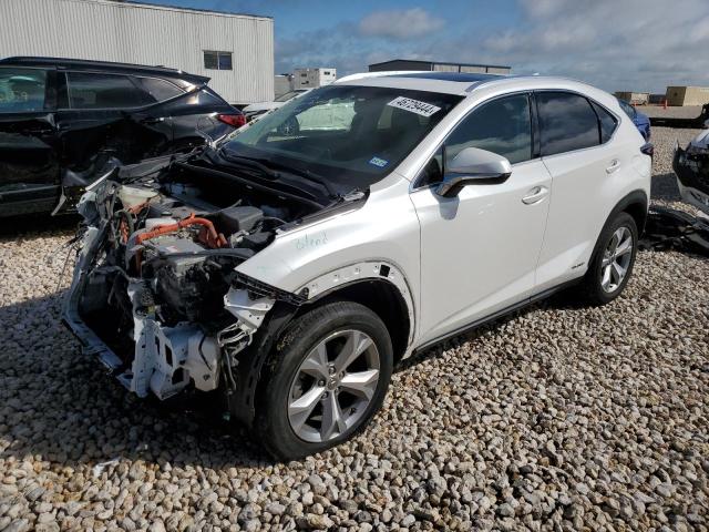 JTJBJRBZ3H2054234 - 2017 LEXUS NX 300H WHITE photo 1