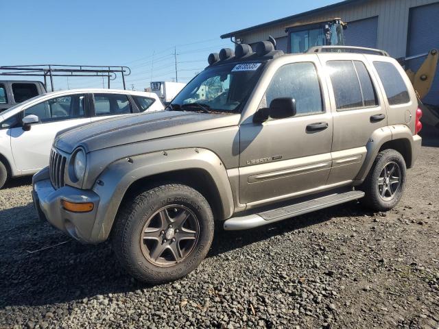 1J4GL38K62W367007 - 2002 JEEP LIBERTY RENEGADE 米色 照片 1