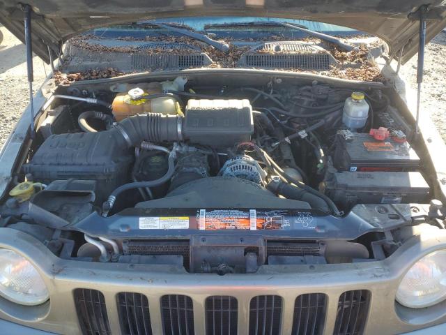 1J4GL38K62W367007 - 2002 JEEP LIBERTY RENEGADE 米色 照片 12