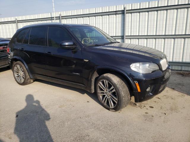 5UXZV8C55DL899052 - 2013 BMW X5 XDRIVE50I BLUE photo 4