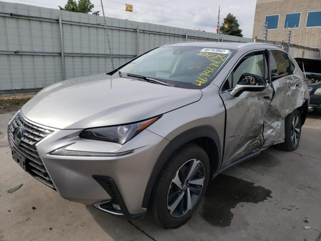 JTJGARDZ4L2225696 - 2020 LEXUS NX 300 GRAY photo 2