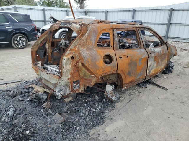 1C4PJMDX0KD260047 - 2019 JEEP CHEROKEE LIMITED BURN photo 3