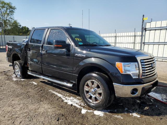 1FTFW1EV1AFC69268 - 2010 FORD F150 SUPERCREW BLACK photo 4