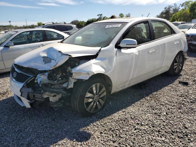 KNAFU4A21D5648216 - 2013 KIA FORTE EX WHITE photo 1