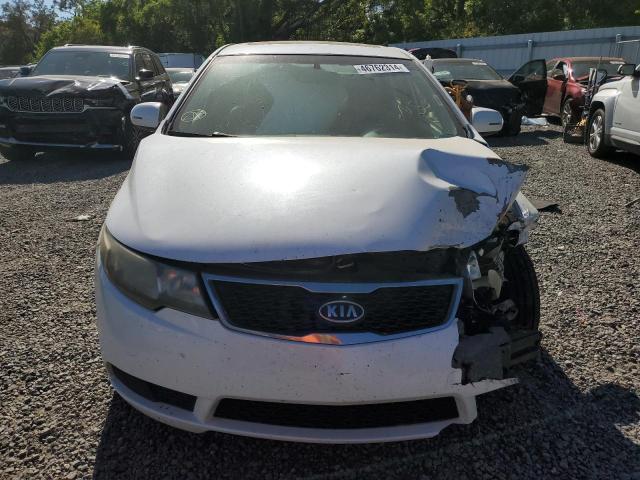 KNAFU4A21D5648216 - 2013 KIA FORTE EX WHITE photo 5