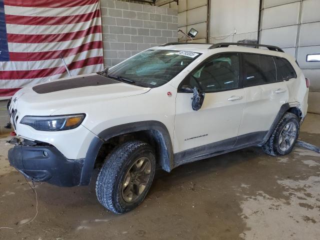 1C4PJMBX3KD141251 - 2019 JEEP CHEROKEE TRAILHAWK WHITE photo 1
