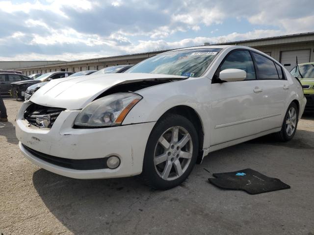 1N4BA41E46C812566 - 2006 NISSAN MAXIMA SE WHITE photo 1