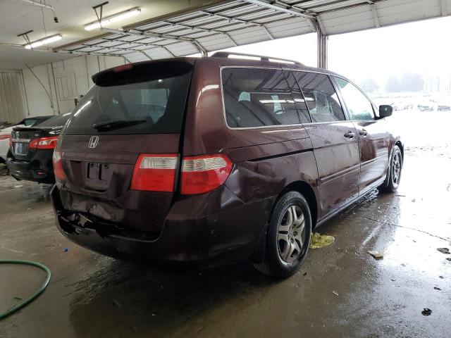 5FNRL38777B455277 - 2007 HONDA ODYSSEY EXL MAROON photo 3