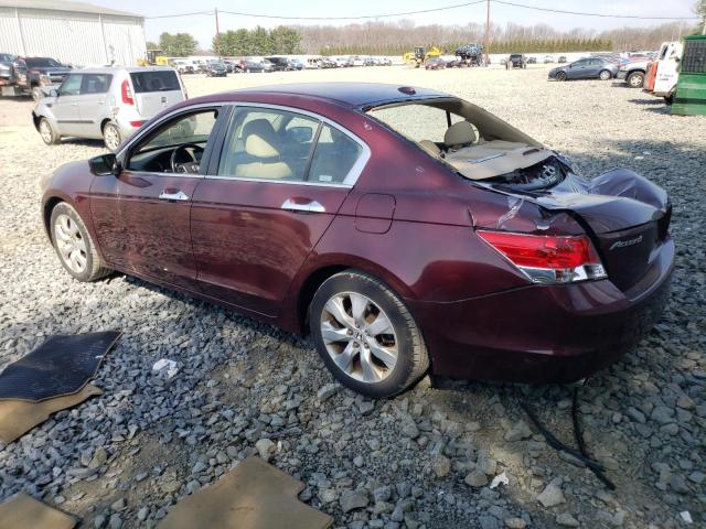 1HGCP36858A058863 - 2008 HONDA ACCORD EXL MAROON photo 2