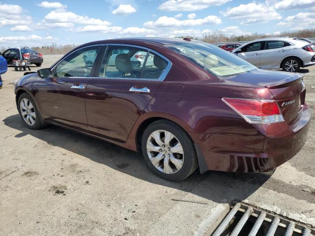 5KBCP3F81AB014727 - 2010 HONDA ACCORD EXL BURGUNDY photo 2