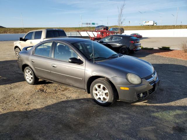 1B3AS56C03D253296 - 2003 DODGE NEON SXT GRAY photo 4