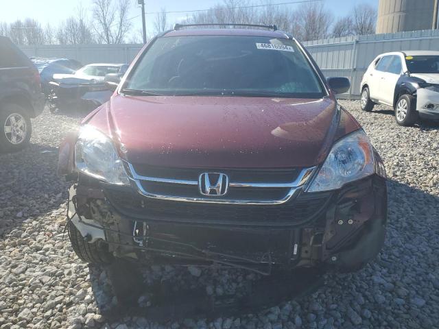 5J6RE4H42BL091095 - 2011 HONDA CR-V SE RED photo 5