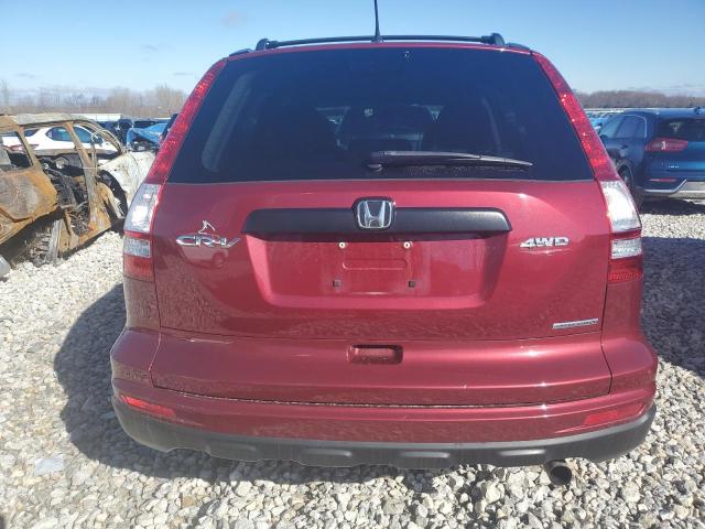 5J6RE4H42BL091095 - 2011 HONDA CR-V SE RED photo 6