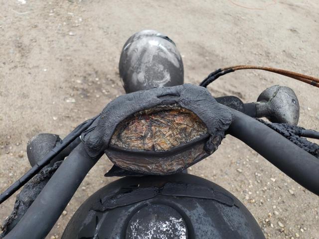 JH2SC61NXDK100475 - 2013 HONDA VT1300 CX BURN photo 8