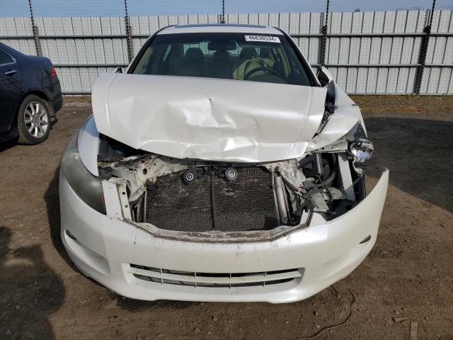 1HGCP36849A011471 - 2009 HONDA ACCORD EXL WHITE photo 5