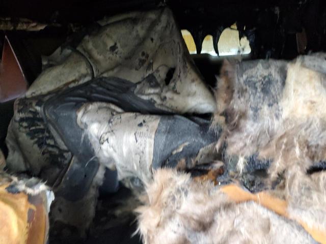 1FM5K8AT7GGD16094 - 2016 FORD EXPLORER POLICE INTERCEPTOR 黑色 照片 10