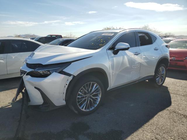 2025 LEXUS NX 350 PREMIUM, null
