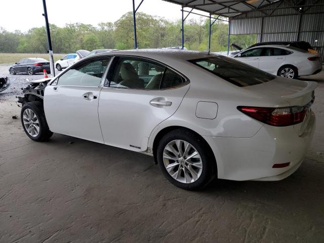 JTHBW1GG8D2033563 - 2013 LEXUS ES 300H WHITE photo 2