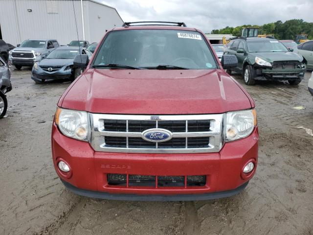 1FMCU0D78BKA85844 - 2011 FORD ESCAPE XLT RED photo 5