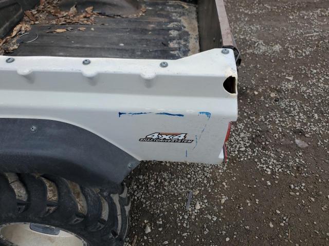 LWGMDYZ05AA001955 - 2010 MISC 4WHLD CART WHITE photo 10