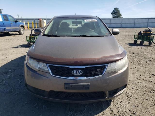 KNAFU4A2XD5739534 - 2013 KIA FORTE EX BROWN photo 5