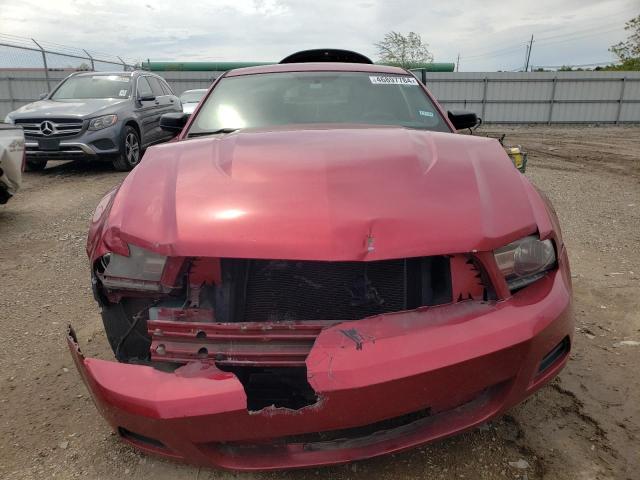1ZVBP8AM3C5283535 - 2012 FORD MUSTANG RED photo 5