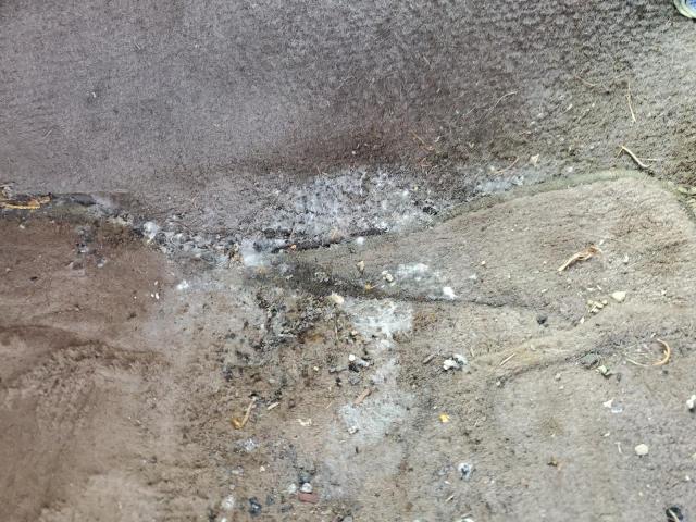 4TAVL52N7YZ613867 - 2000 TOYOTA TACOMA XTRACAB BLACK photo 10