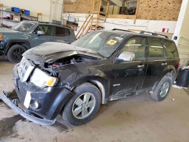 2011 FORD ESCAPE XLT, 